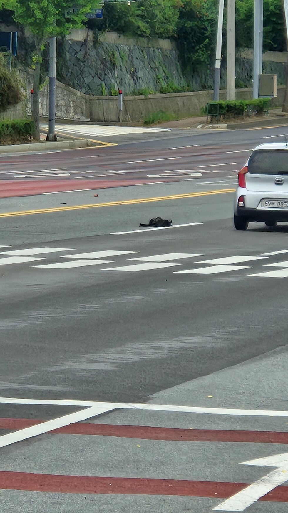 낙하물4