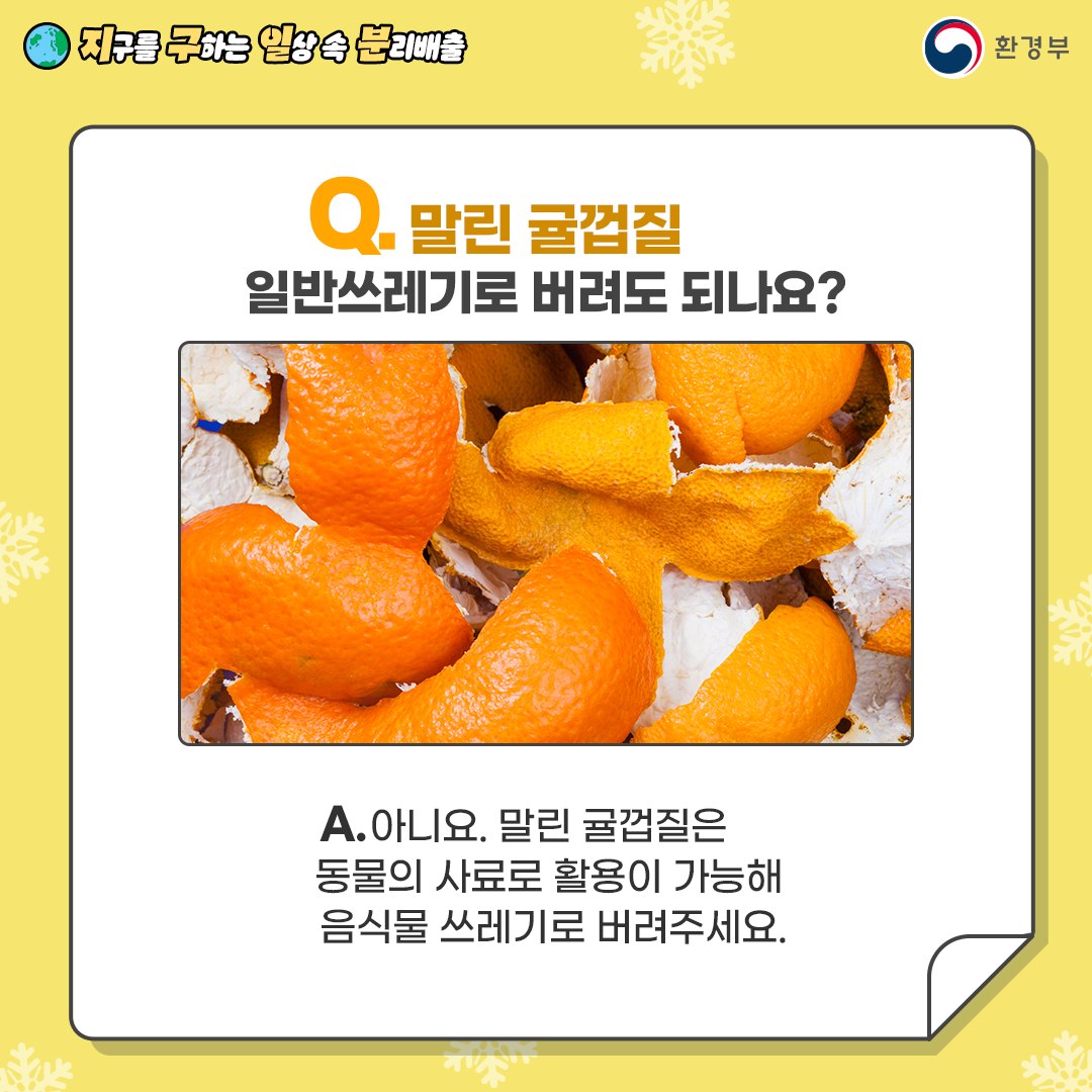 Q. 말린 귤껍질 일반 쓰레기로 버려도 되나요? A. 아니요. 말린 귤껍질은 동물의 사료로 활용이 가능해 음식물 쓰레기로 버려주세요.