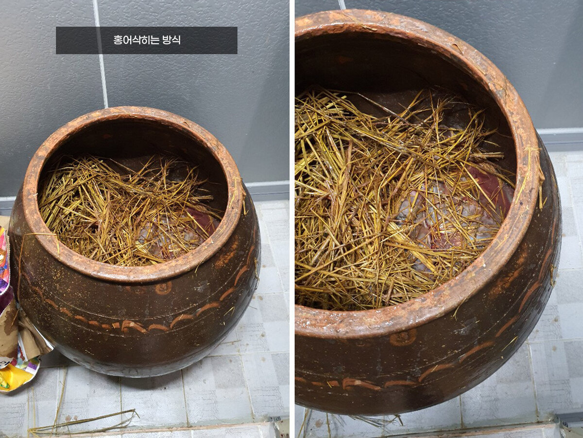 금메달 외관전경